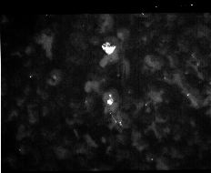 1200-01V-3-497